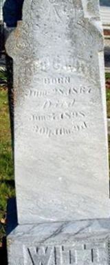 Fred G. Witt on Sysoon