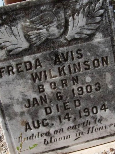 Freda Avis Wilkinson on Sysoon