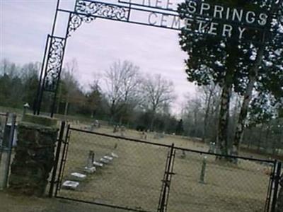 Free Springs Cemetery on Sysoon
