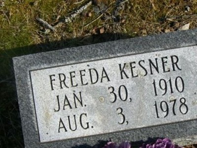 Freeda Williams Kesner on Sysoon
