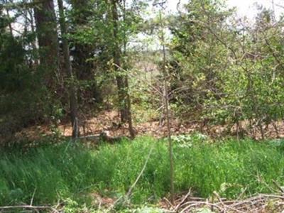 Frog Knob Cemetery on Sysoon