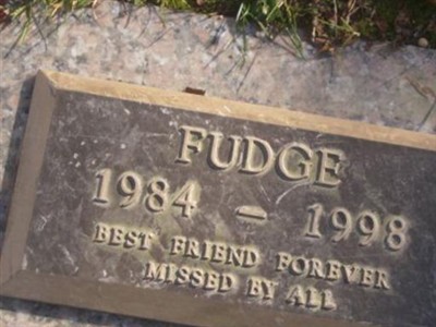 Fudge on Sysoon