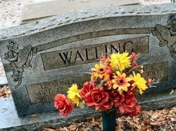 G. Soney Walling on Sysoon