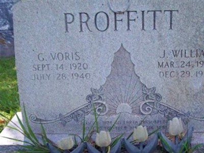 G. Voris Proffitt on Sysoon