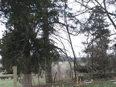 Gaines Family Cemetery on Sysoon