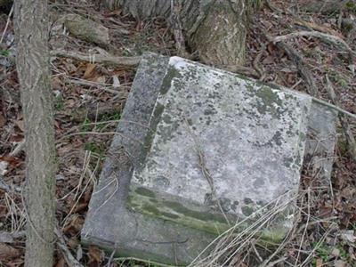 Gaines-Graves Cemetery on Sysoon