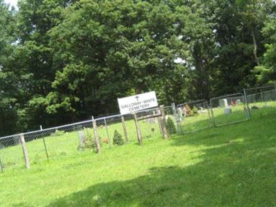 Galloway White Cemetery on Sysoon