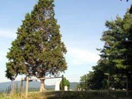 Garst-Showalter Cemetery on Sysoon