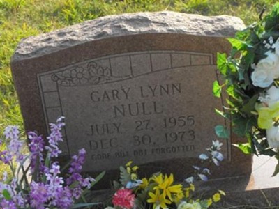 Gary Lynn Null on Sysoon