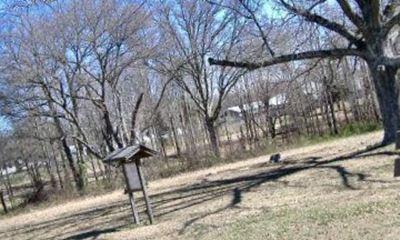 Gaston County Home Cemetery on Sysoon