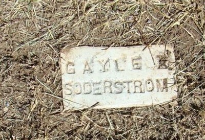 Gayle Ann Soderstrom on Sysoon