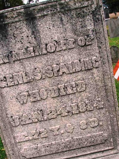 Gen Simon Spalding on Sysoon