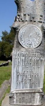 Geo T Morrison on Sysoon