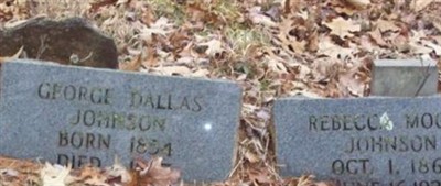 George Dallas Johnson on Sysoon