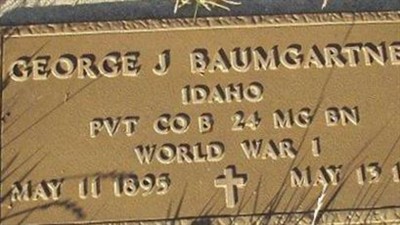 George Joseph Baumgartner on Sysoon