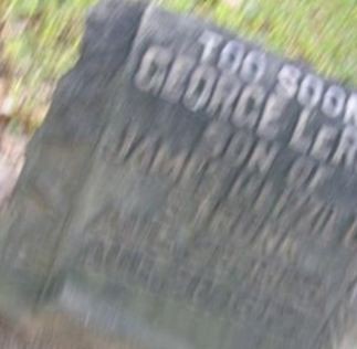 George LeRoy Strunk on Sysoon