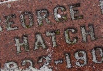 George N Hatch on Sysoon