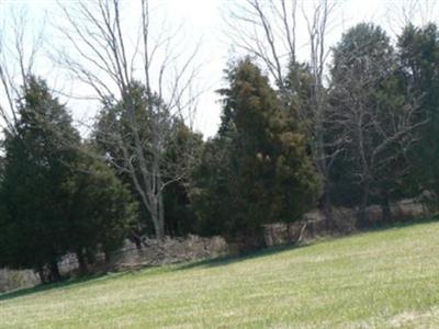 George Nicholas Tapscott family cemetery on Sysoon