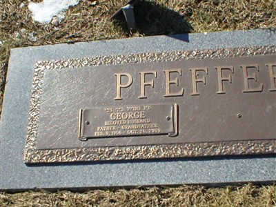 George Pfeffer on Sysoon