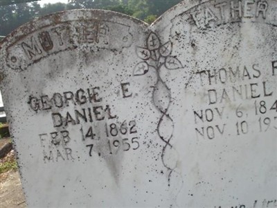 Georgia Ella Lucretia Stringer Daniel on Sysoon