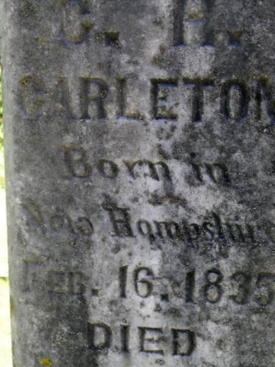 G. H. Carleton on Sysoon
