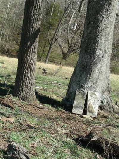 Gideon Skaggs Homestead Cemetery on Sysoon
