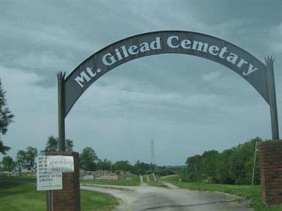 Mount Gilead Methodist Evangelical Church Cemetery on Sysoon
