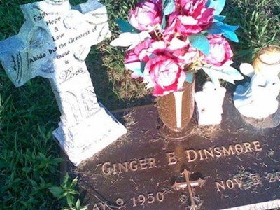 Ginger Dinsmore on Sysoon