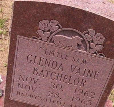 Glenda Vaine Batchelor on Sysoon
