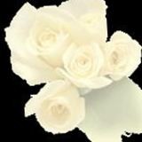 Gloria Ann Farnsworth Standafer on Sysoon