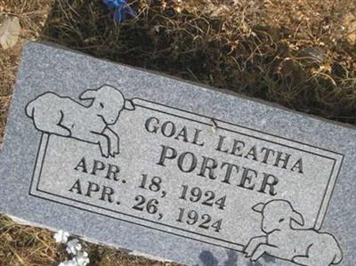 Goal Leatha Porter on Sysoon