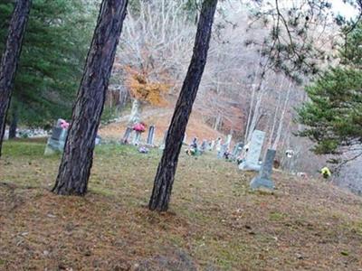 Goldie Allen Cemetery on Sysoon