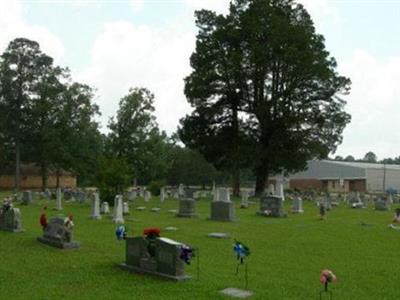 Grapevine Cemetery on Sysoon