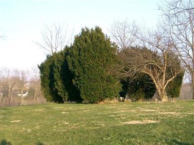 Grassy Lick Cemetery on Sysoon