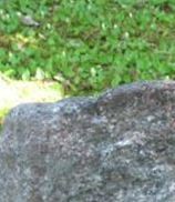 Grave Unidentified on Sysoon