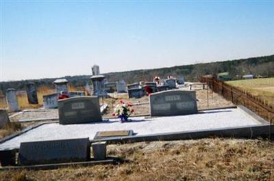 Green Cemetery on Sysoon