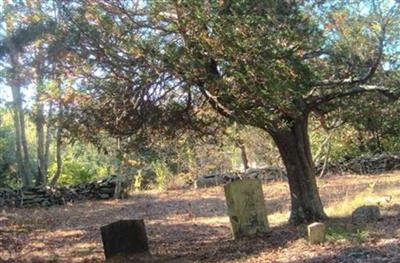 Green Cemetery on Sysoon