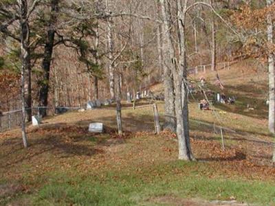 Greenville Turner Cemetery on Sysoon