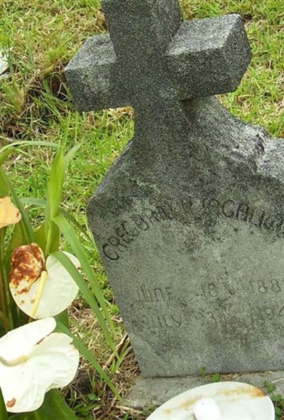 Gregorio R. Tagalicud on Sysoon