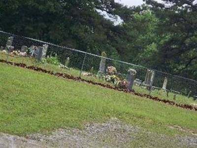 Lone Grove Cemetery (Saint Vincent) on Sysoon