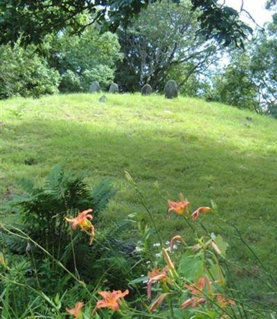 Grow Cemetery on Sysoon