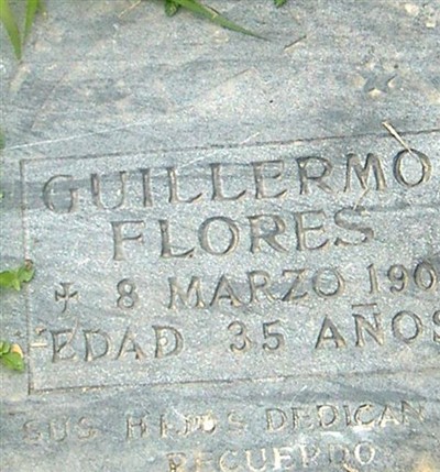 Guillermo Flores on Sysoon