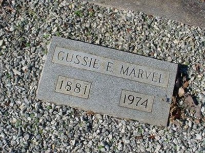 Gussie E. Marvel on Sysoon
