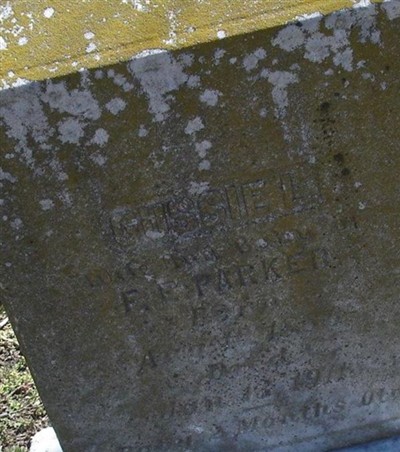 Gussie L. Parker on Sysoon