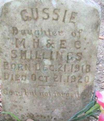 Gussie Shilling on Sysoon