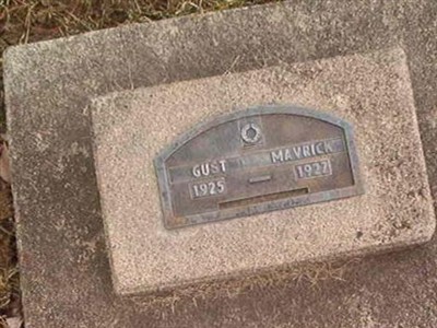 Gust Mavrick on Sysoon