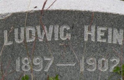 Gustavus Ludwig "August" Heine on Sysoon