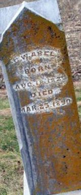 G. W. Abel on Sysoon