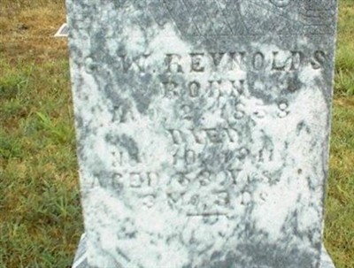 G. W. Reynolds on Sysoon