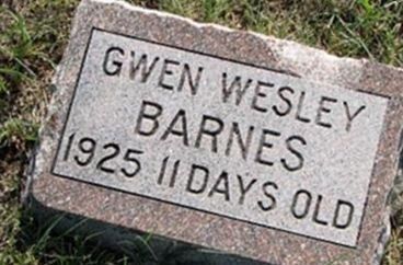 Gwen Wesley Barnes on Sysoon
